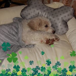 Meet your Posher, Meagan